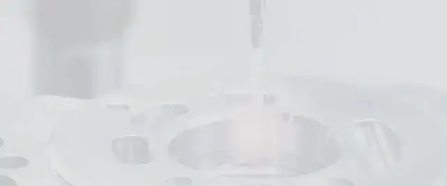 PRAETERIO